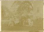 Gallery Image #131